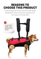 Pet Travel Backpack – Durable Shoulder Carrier