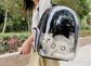 Space Pet Backpack Carrier – Transparent Breathable Travel Bag